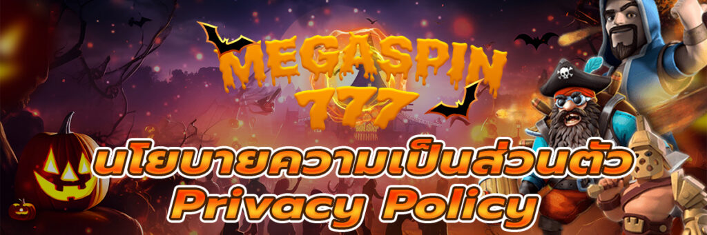 นโยบายความเป็นส่วนตัว